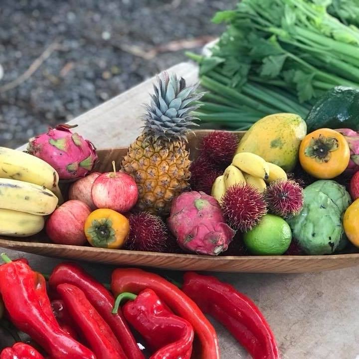 Scomazzons Farm Store in Daintree, QLD