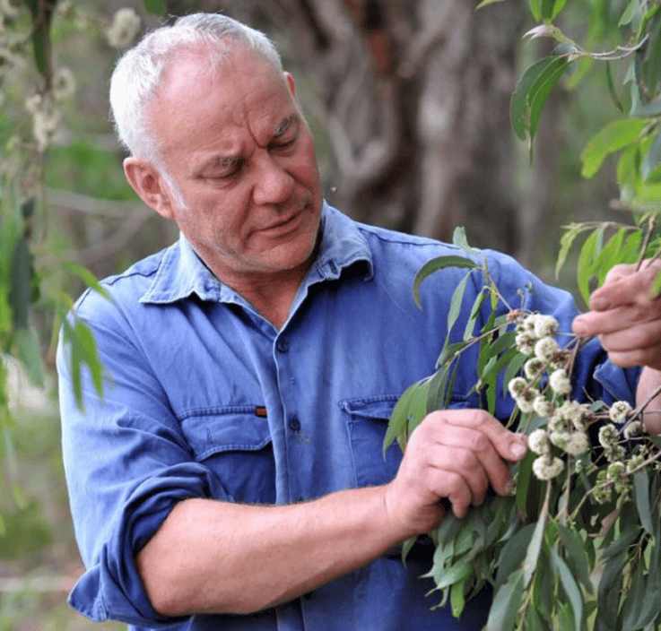 Sticky Stuckey's Honey in Gippsland, VIC