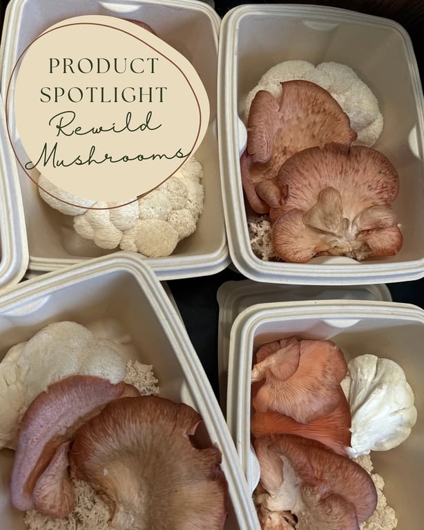 Rewild Mushrooms fresh farm produce packed for customers in Karuah.